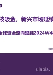 全球资金流向跟踪2024W48：美股科技吸金，新兴市场延续净流出