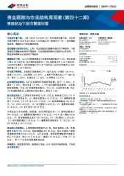 资金跟踪与市场结构周观察（第四十二期）：情绪扰动下股市震荡回落