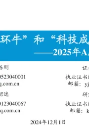 2025年A股投资策略展望：“内循环牛”和“科技成长牛”