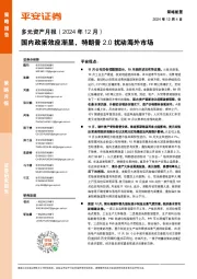 多元资产月报(2024年12月):国内政策效应渐显,特朗普2.0扰动海外市场