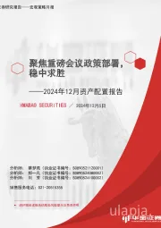 2024年12月资产配置报告：聚焦重磅会议政策部署，稳中求胜