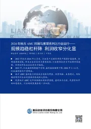 2024年地方AMC回顾与展望系列之行业运行：规模趋稳杠杆降 利润收窄分化显