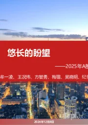 2025年A股年度策略展望：悠长的盼望