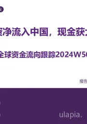 全球资金流向跟踪2024W50：被动外资净流入中国，现金获大幅流入