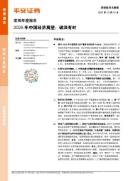 宏观年度报告：2025年中国经济展望：破浪有时