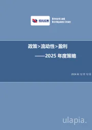 2025年度策略：政策>流动性>盈利