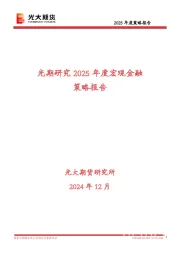 光期研究2025年度宏观金融策略报告