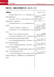 策略月报：指数化投资策略月报（2024年12月）