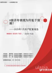2025年1月资产配置报告：A股开年表现为何低于预期？