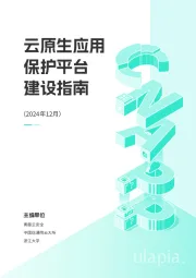 云原生应用保护平台建设指南（2024年12月）
