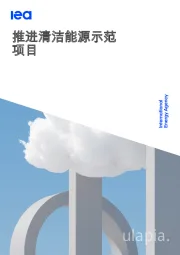 推进清洁能源示范项目