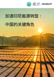 加速印尼能源转型：中国的关键角色