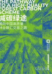 减碳绿途：通向中国高质量 林业碳汇交易之路