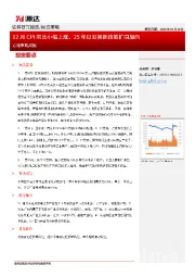 宏观策略周报：12月CPI同比小幅上涨，25年以旧换新政策扩围加码