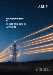 区域能源战略计划：成功设置