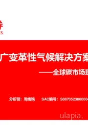 全球碳市场现状及发展趋势：碳定价是推广变革性气候解决方案重要工具