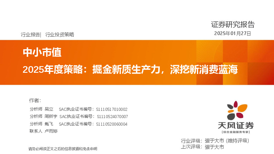 中小市值2025年度策略：掘金新质生产力，深挖新消费蓝海