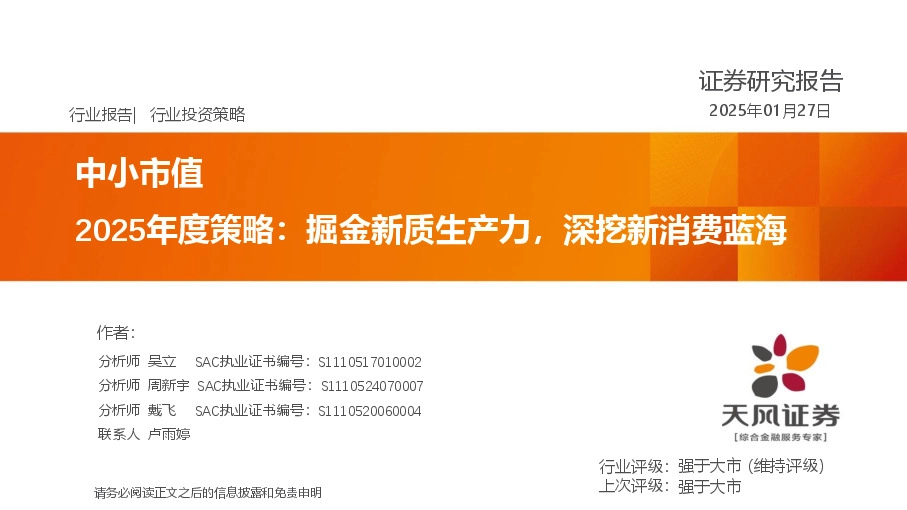 中小市值2025年度策略：掘金新质生产力，深挖新消费蓝海