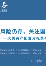 大类资产配置月报第43期：2025年2月：特朗普就职后风险仍存，关注国内外政策走向
