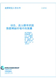 动态、高分辨率贫困数据稀缺环境中的测量