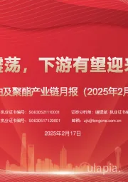 原油及聚酯产业链月报（2025年2月）：原油延续震荡，下游有望迎来复苏行情