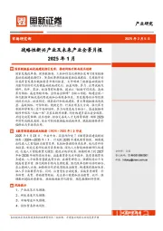 战略性新兴产业及未来产业全景月报2025年1月