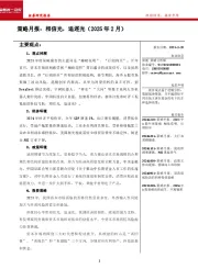 策略月报：相信光，追逐光（2025年2月）
