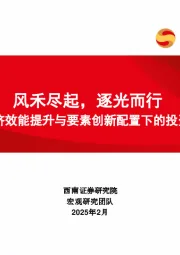 经济效能提升与要素创新配置下的投资抉择：风禾尽起，逐光而行