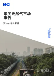 印度天然气市场报告：到2030年的展望