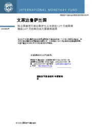 文莱达鲁萨兰国:独立提案将文莱达鲁萨兰从当前的12个月周期调整到24个月的第四条文章磋商周期