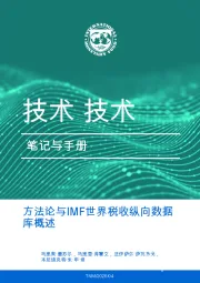 方法论与IMF世界税收纵向数据库概述