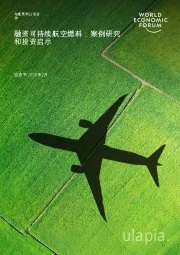 融资可持续航空燃料：案例研究和投资启示白皮书2025年2月