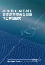 JETP和ETM机制下印度尼西亚典型能源项目转型研究