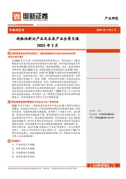 战略性新兴产业及未来产业全景月报2025年2月