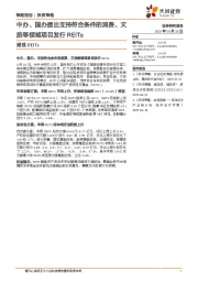 周观REITs：中办、国办提出支持符合条件的消费、文旅等领域项目发行REITs