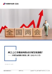 区域发展战略月报第2期（2025年3月）：两会之后各地如何推动区域发展战略？
