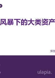 策略深度报告:对等关税风暴下的大类资产策略应对