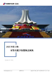 全景东盟月报2025年第2期：对等关税下东盟何去何从