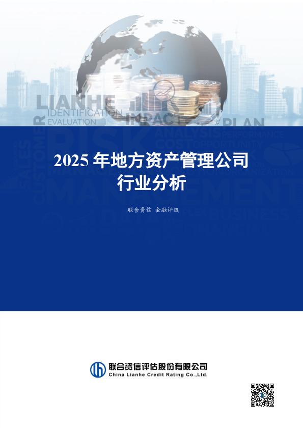 2025年地方资产管理公司行业分析