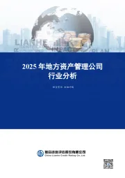 2025年地方资产管理公司行业分析