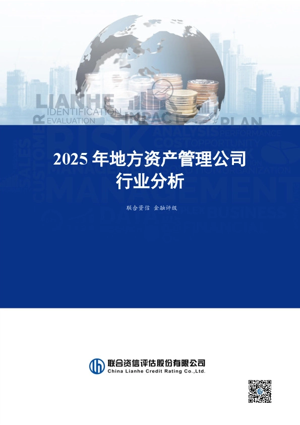 2025年地方资产管理公司行业分析