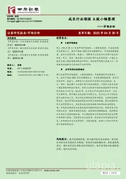 市场分析：成长行业领涨 A股小幅整理