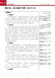 策略月报：关注关键矿产资源（2025年5月）