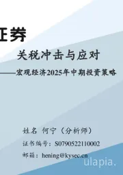 宏观经济2025年中期投资策略：关税冲击与应对