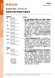 多元资产月报(2025年5月):持续应对海外政策的不确定性