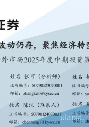 海外市场2025年度中期投资策略：短期波动仍存，聚焦经济转型方向