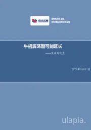 策略周观点：牛初震荡期可能延长