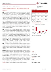 策略周报：中美谈判取得积极进展，聚焦政策结构性机遇