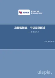 策略周观点：高频数据弱，牛初震荡延续