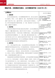 策略月报：关税博弈无剧本，央行施策显灵活（2025年6月）